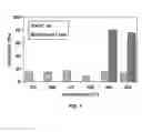 Fig. 08 - Hydrogen-selective porous composite