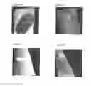 Fig. 03 - Optical Trace Chemical Detection for Analysis of Latent Prints