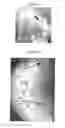 Fig. 05 - Optical Trace Chemical Detection for Analysis of Latent Prints