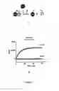 Fig. 08 - Protease-based biosensor
