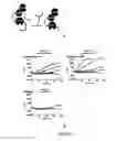 Fig. 09 - Protease-based biosensor