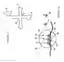 Fig. 02 - Multiprotein assemblies