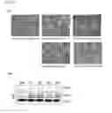 Fig. 08 - NRIP AS A BIOMARKER OF ABNORMAL FUNCTION OF MOTOR NEURONS