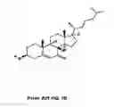 Fig. 03 - Methods of Determining Efficacy of Therapy For Niemann-Pick C Disease And Related Disorders