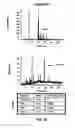 Fig. 08 - Methods of Determining Efficacy of Therapy For Niemann-Pick C Disease And Related Disorders
