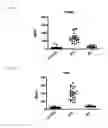 Fig. 09 - Methods of Determining Efficacy of Therapy For Niemann-Pick C Disease And Related Disorders