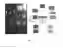 Fig. 10 - Test board and method for qualifying a printed circuit board assembly and/or repair process