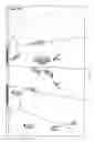 Fig. 08 - SYSTEMS AND METHODS FOR TRACKING AND TAGGING OBJECTS WITHIN A BROADCAST