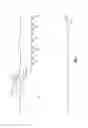 Fig. 02 - Geophysical cable preparation for antifouling paint