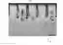 Fig. 02 - Optical element and optical device