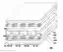 Fig. 01 - Light source module and display device