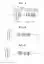 Fig. 02 - Optical system and optical device provided therewith