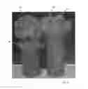 Fig. 07 - Lens cover for an optical instrument