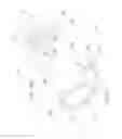 Fig. 07 - Lens cover