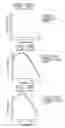 Fig. 19 - Presbyopia lens with pupil size correction based on level of refractive error