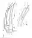 Fig. 05 - Illuminated eyewear