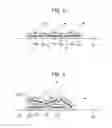 Fig. 06 - Image forming apparatus using flat toner to obtain a gloss
