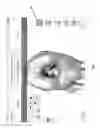Fig. 08 - GRAPHICAL OPERATIVE NOTES