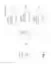 Fig. 02 - Caseless file lookup in a distributed file system