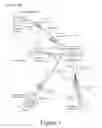 Fig. 02 - OCCUPATIONAL SPECIALTY AND CLASSIFICATION CODE DECODING AND MATCHING METHOD AND SYSTEM