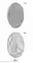 Fig. 06 - On-the go touchless fingerprint scanner