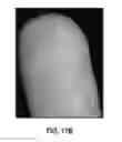 Fig. 20 - On-the go touchless fingerprint scanner