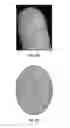 Fig. 22 - On-the go touchless fingerprint scanner