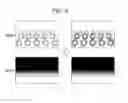 Fig. 07 - Image processing device, image processing method, and program