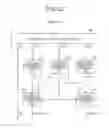 Fig. 20 - Image processing device, image processing method, and program