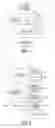 Fig. 03 - AUTOMATIC JOB APPLICATION ENGINE
