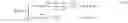 Fig. 12 - Multi-target tracking for demand management