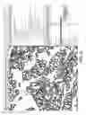 Fig. 07 - Biomarker evaluation through image analysis