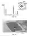 Fig. 09 - Biomarker evaluation through image analysis