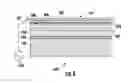 Fig. 08 - PLASMA RESISTANT ELECTROSTATIC CLAMP