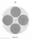 Fig. 02 - FRONT FACING PIGGYBACK WAFER ASSEMBLY