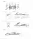Fig. 04 - ORGANIC LUMINESCENT MATERIAL, METHOD FOR PRODUCING ORGANIC LUMINESCENT MATERIAL AND ORGANIC LUMINESCENT ELEMENT