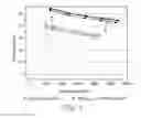 Fig. 03 - MICROCAVITY OLED LIGHT EXTRACTION