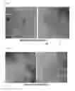 Fig. 05 - Silicon oxide-carbon composite, method of manufacturing the composite, and energy storage device having the composite