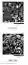 Fig. 05 - Thick electrodes including nanoparticles having electroactive materials and methods of making same