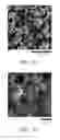 Fig. 07 - Thick electrodes including nanoparticles having electroactive materials and methods of making same