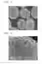 Fig. 02 - Composite cathode active material, method of preparing the same, and cathode and lithium battery including the composite cathode active material