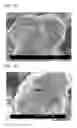 Fig. 03 - Positive active material, positive electrode and lithium battery including the positive active material, and method of manufacturing the positive active material