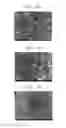 Fig. 04 - Positive active material, positive electrode, lithium battery including the same, and method of manufacturing thereof