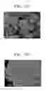 Fig. 06 - Positive active material, positive electrode, lithium battery including the same, and method of manufacturing thereof