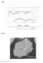 Fig. 02 - Positive electrode active material for nonaqueous electrolyte secondary batteries, method for manufacturing the same, and nonaqueous electrolyte secondary battery using said positive electrode active material