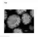 Fig. 07 - Nickel manganese composite hydroxide particles and manufacturing method thereof, cathode active material for a non-aqueous electrolyte secondary battery and manufacturing method thereof, and a non-aqueous electrolyte secondary battery