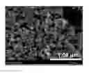 Fig. 01 - Carbendazim-based catalytic materials
