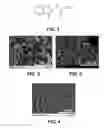 Fig. 02 - Carbendazim-based catalytic materials