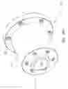 Fig. 35 - Current Diverter Ring
