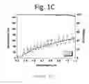 Fig. 04 - CHIRPED DICHROIC MIRROR AND A SOURCE FOR BROADBAND LIGHT PULSES